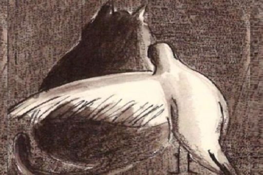 γάτα-πουλί